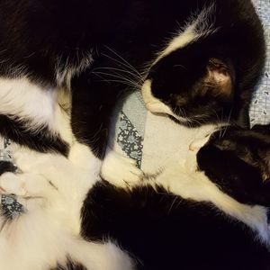 Meet your Posher, Debbie